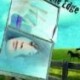 BOOK TALK:  SLIDING ON THE EDGE by C. Lee McKenzie