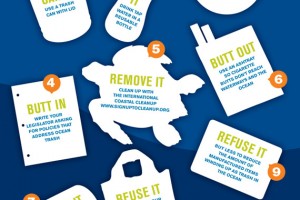 10-things-you-can-do