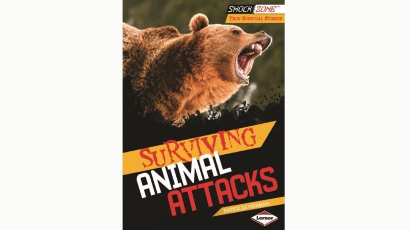 Gallery–Attacks