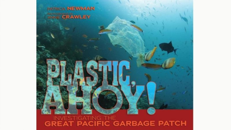 Gallery-Plastic