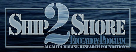 Ship2Shore