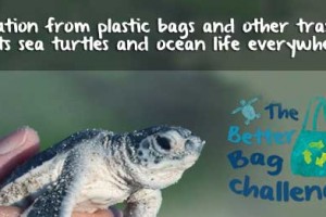 The Better Bag Challenge