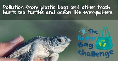 The Better Bag Challenge