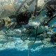 Rethinking our relationship with plastic