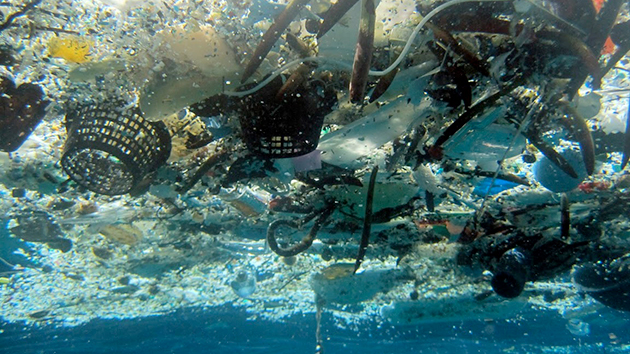 NOAA Pacific Islands Fisheries Science Center/AP