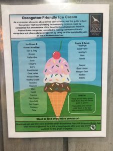 Orangutan friendly ice cream