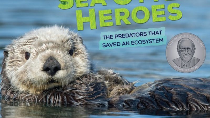 Sea Otter Heroes