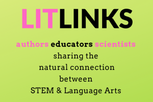 LitLinks Logo-1 (2)