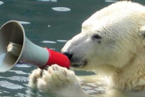 LitLinks: How to use Media Literacy to Evaluate Conflicting Science Information