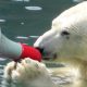 LitLinks: How to use Media Literacy to Evaluate Conflicting Science Information