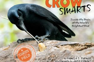 Crow Smarts cover