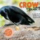 LitLinks: Animal, Please Talk to Me – Pairing STEM and Fiction
