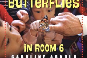 Butterflies in Room 6