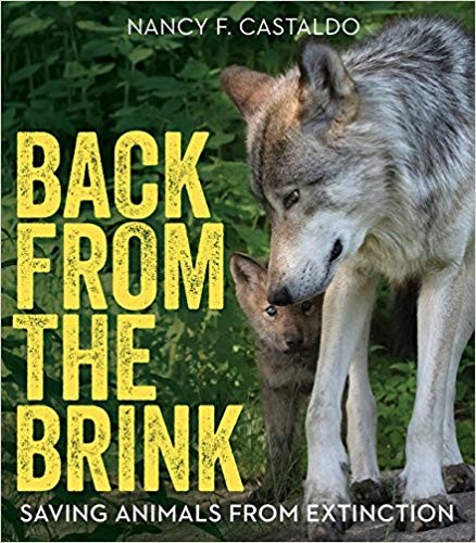 Back From the Brink cover