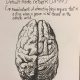 LitLinks: STEM-thinking + literacy = Brain power