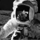 LitLinks: To the moon! Space exporation and literacy activities