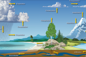 NOAA Water Cycle