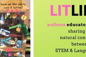 LitLinks Logo-extended