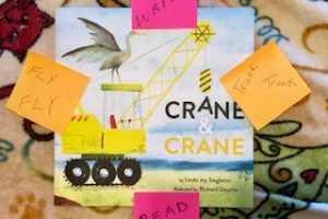 Crane and Crane homonyms