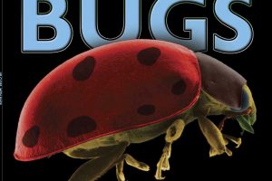 BUGS up close cover copy square