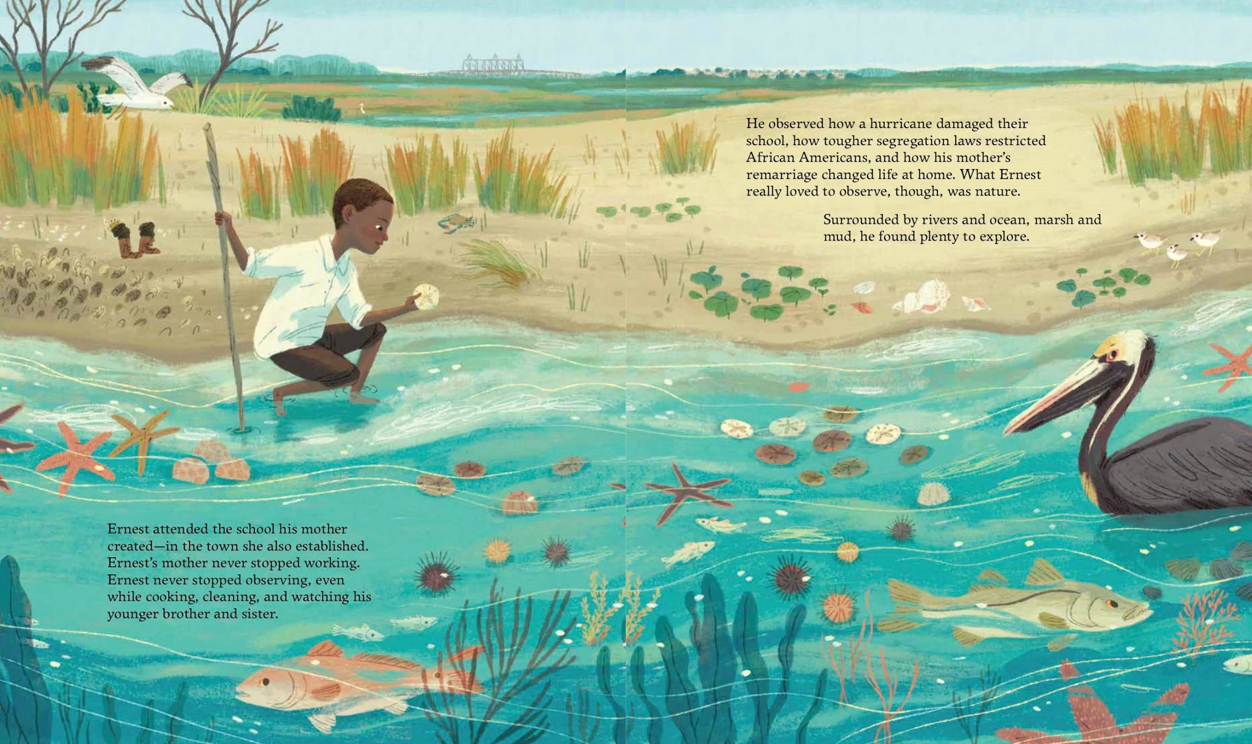 Litlinks Tanka Poetry Brings Scientific Observations To Life