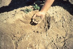 Soil 38362544974_0a5a42159e_b