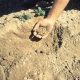 LitLinks: Soil scientist as hero
