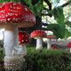 LitLinks: How the weird world of fungi improves writing