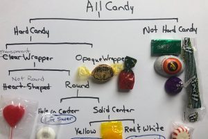 LitLinks: Icky & sweet – how to build a science key…with words