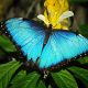 LitLinks: Small makes a BIG difference for animals and engineers