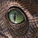 LitLinks: What does a dinosaur know about story setting? Plenty!