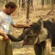 LitLinks: How animal communication can help kids communicate better