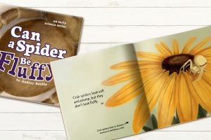 Can a Spider Be Fluffy? Audrey Sauble