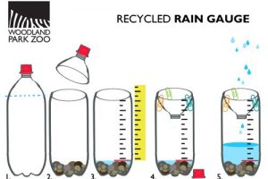 rain-gauge-2