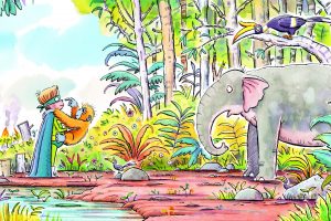 rainforest spread 14_15_CGTM