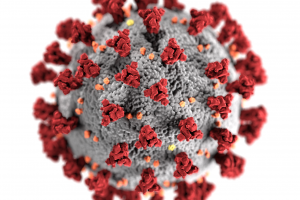 Coronavirus