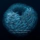 LitLinks: How to share our ocean connections with kids and teens