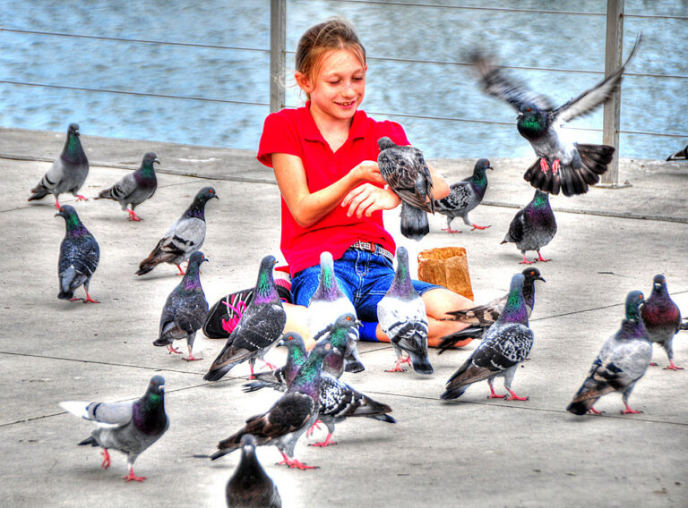 Girl with pigeons