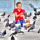 LitLinks: Show students how to invite nature closer