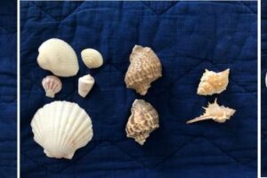 Shell sorting multiple small