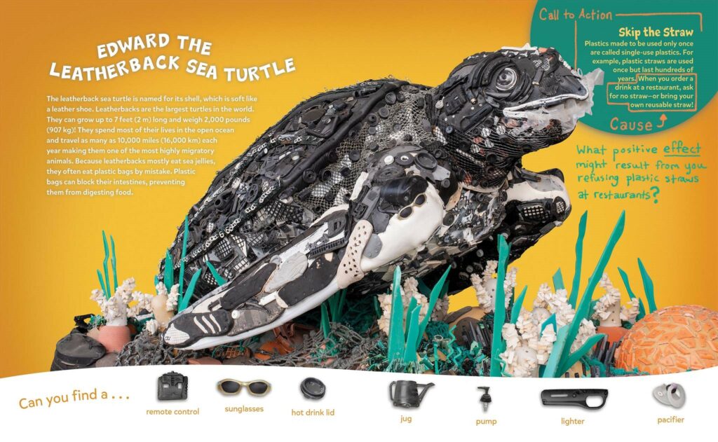 EdwardSeaTurtle