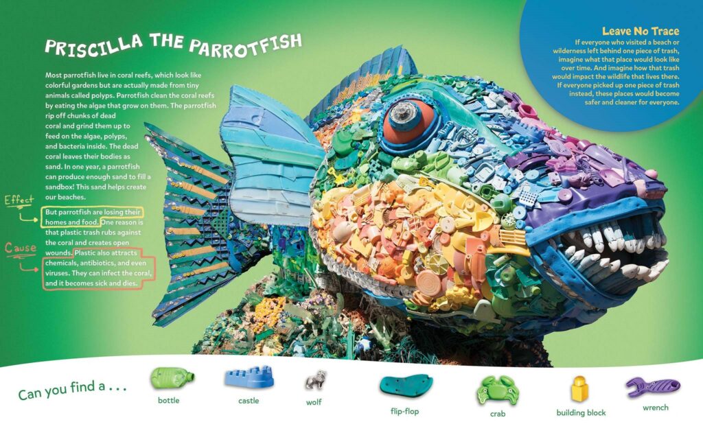 PriscillaParrotfish