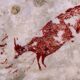 LitLinks: Let’s investigate evolution with an easy storytelling lesson