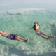 LitLinks: Will it sink or float? Let’s find out.