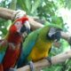 LitLinks: 3 easy ways to explore Earth’s biomes