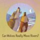 LitLinks: How to use wolves to write a fun chain tale