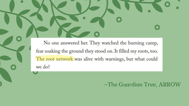 Arrow-root network quote 2-800px