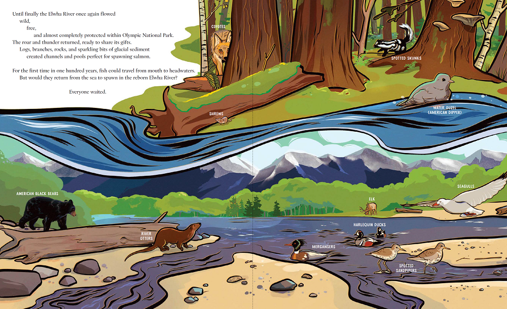 A River's Gifts - interior image