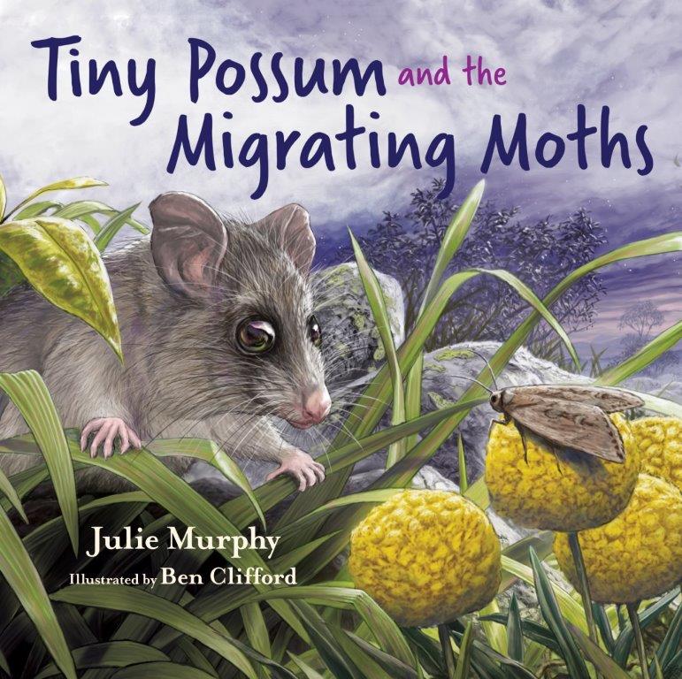Tiny Possum cover for web