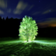 LitLinks: An easy way to explore bioluminescence